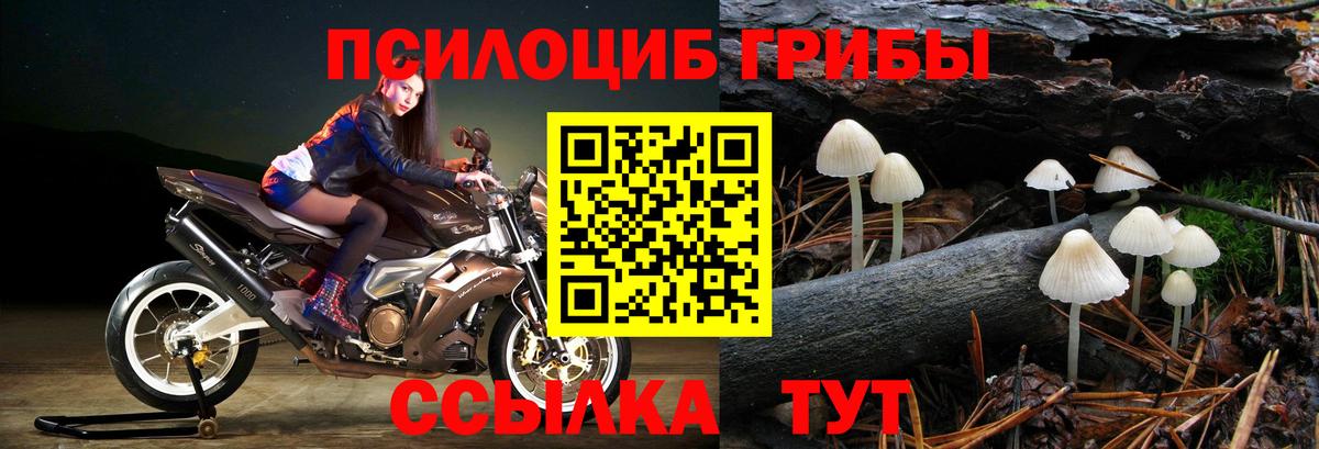 Азов  Псилоцибиновые грибы MAGIC MUSHROOMS  Псилоцибиновые грибы Psilocybine cubensis  Вход с VPN 